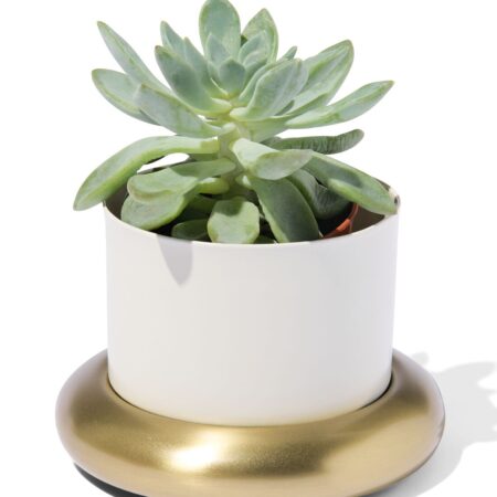 HEMA Bloempot Ø10x6.5cm metaal met schotel wit-goud (wit) | HEMA