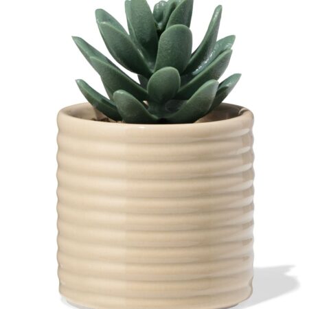 HEMA Bloempot ⌀7x6.6cm keramiek ribbels beige (beige) | HEMA