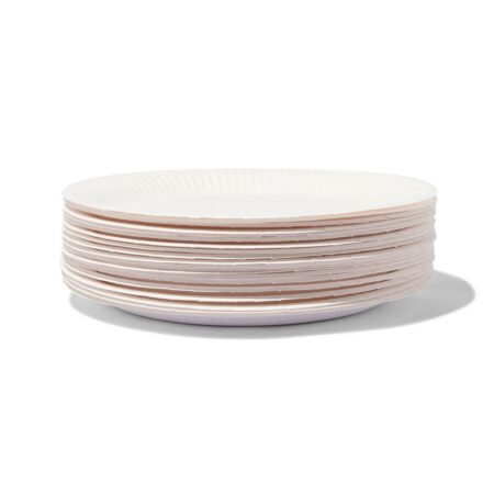 HEMA Borden karton Ø22.6 cm 20 stuks (wit) | HEMA