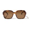 HEMA Dameszonnebril vierkant bruin (Brown) | HEMA