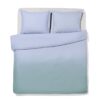 HEMA Dekbedovertrek 200x200/220cm zacht katoen kleurverloop groen-blauw (groen) | HEMA