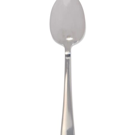 HEMA Dienlepel Sydney (zilver) | HEMA