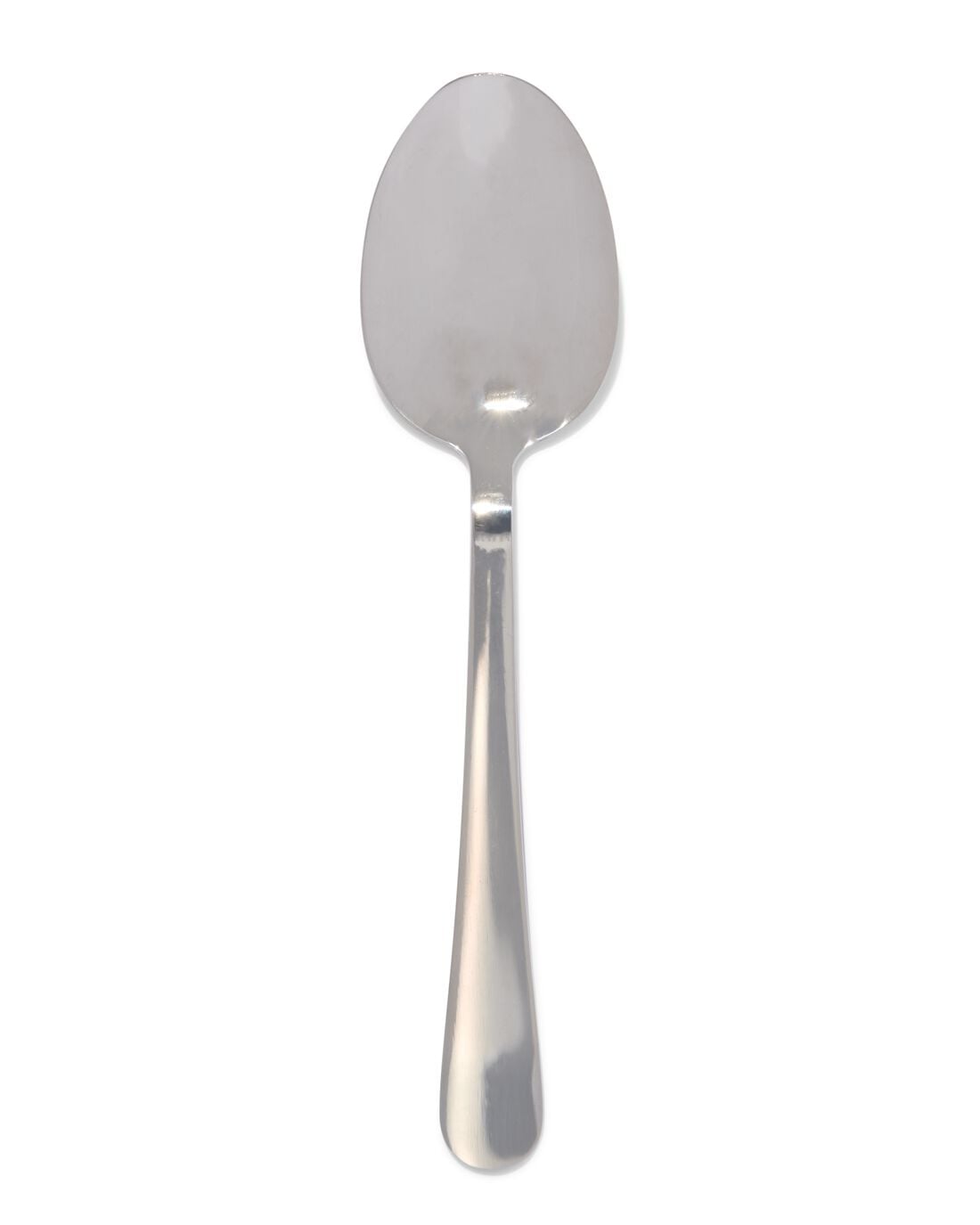 HEMA Dienlepel Sydney (zilver) | HEMA