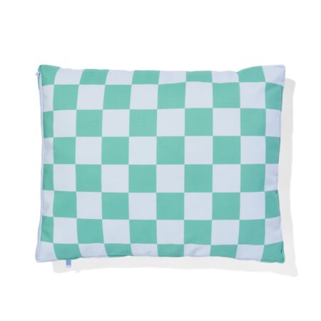 HEMA Dierenkussen geruit 50x65 cm | HEMA
