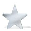HEMA Discobal 30x50x5cm ster | HEMA