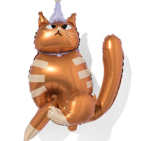 HEMA Folieballon kat 65cm | HEMA