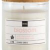 HEMA Geurkaars in glas Ø6.5 blossom (wit) | HEMA