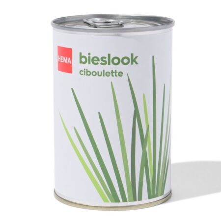 HEMA Groeiblik bieslook | HEMA