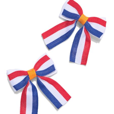 HEMA Haarspeldjes strik Nederland (oranje) | HEMA