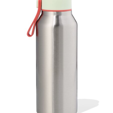 HEMA Isoleerfles 350ml rvs metallic (metaal) | HEMA