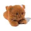 Knuffel kat Bubu