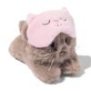 Knuffel kat Jibby