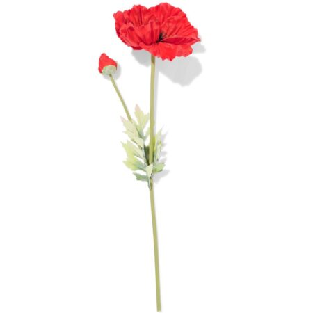 HEMA Kunstbloem klaproos 55cm rubber rood (rood) | HEMA
