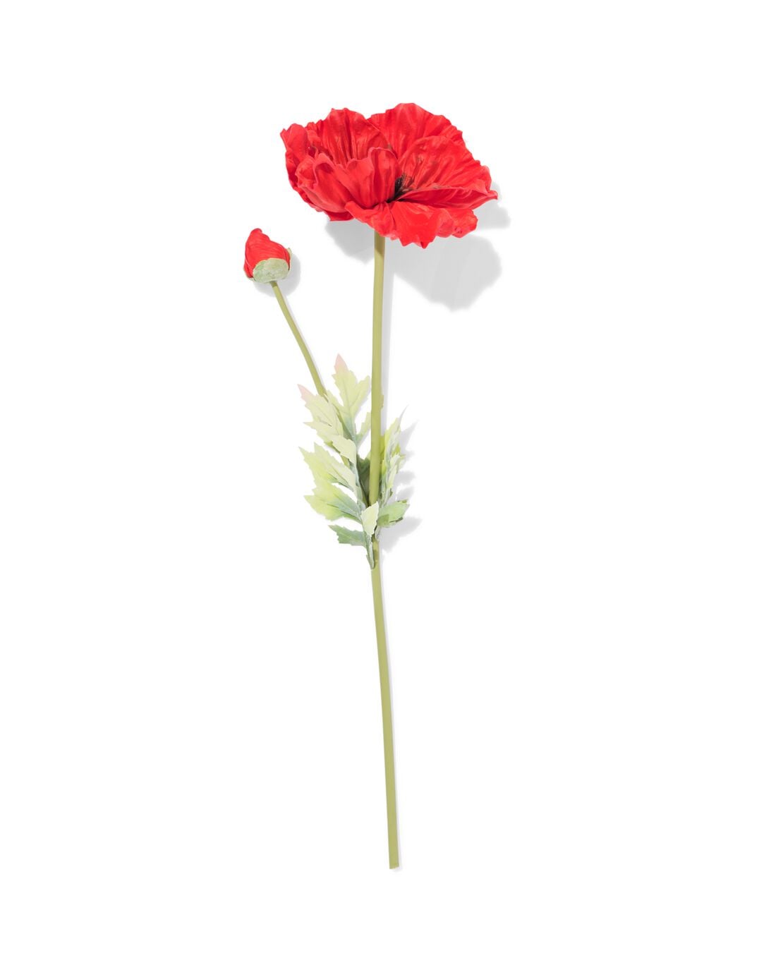 HEMA Kunstbloem klaproos 55cm rubber rood (rood) | HEMA