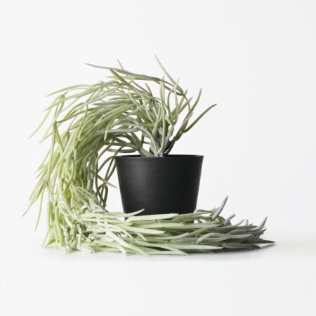 Kunstplant hangplant 55cm (groen)
