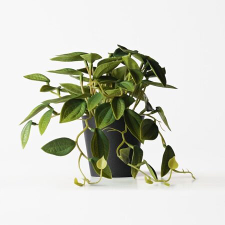 Kunstplant philodendron 55cm (groen)