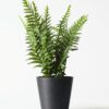 Kunstplant varen 55cm (groen)
