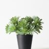 Kunstplant vetplant 55cm (groen)
