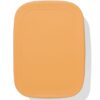 HEMA Lunchbox 18.9x14.3x5.8cm rvs bruin | HEMA