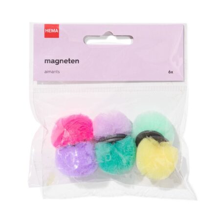 HEMA Magneten pompon - 6 stuks | HEMA
