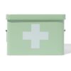 HEMA Medicijnbox 23x14.5x16cm metaal lichtgroen (lichtgroen) | HEMA