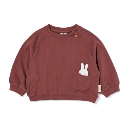 HEMA Nijntje babytrui sweatstof bruin (bruin) | HEMA