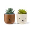HEMA Nijntje bloempotjes - 2 stuks | HEMA