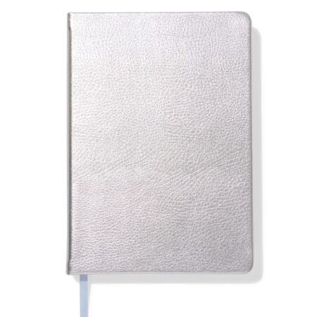HEMA Notitieboek A5 gelinieerd ribbel (zilver) | HEMA