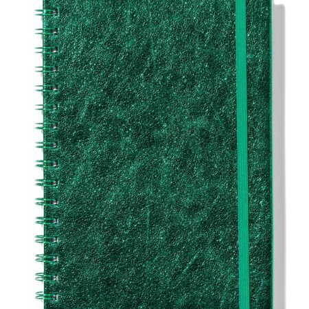 HEMA Notitieboek A5 spiraal | HEMA