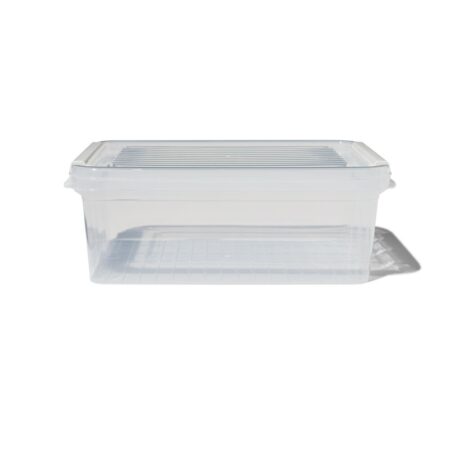 HEMA Opbergdoos met deksel 2.8L Dublin transparant 25x17x10 (transparant) | HEMA