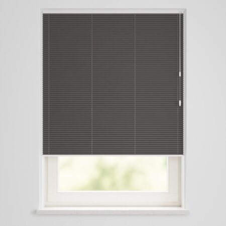 HEMA Plissé dubbel lichtdoorlatend-meekleurende achterkant zwart (zwart) | HEMA