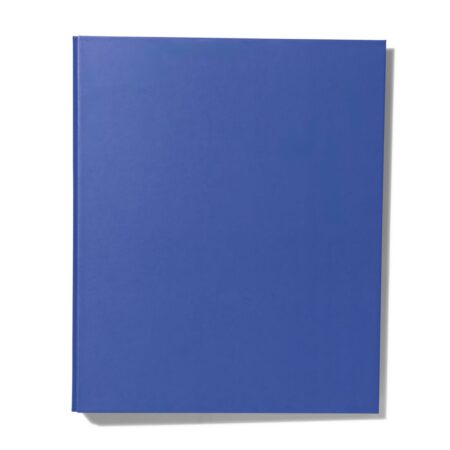HEMA Ringbandmap 2-rings A4 blauw (blauw) | HEMA