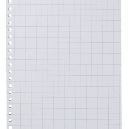 HEMA Ringbandpapier geruit 10x10mm - 100 stuks | HEMA