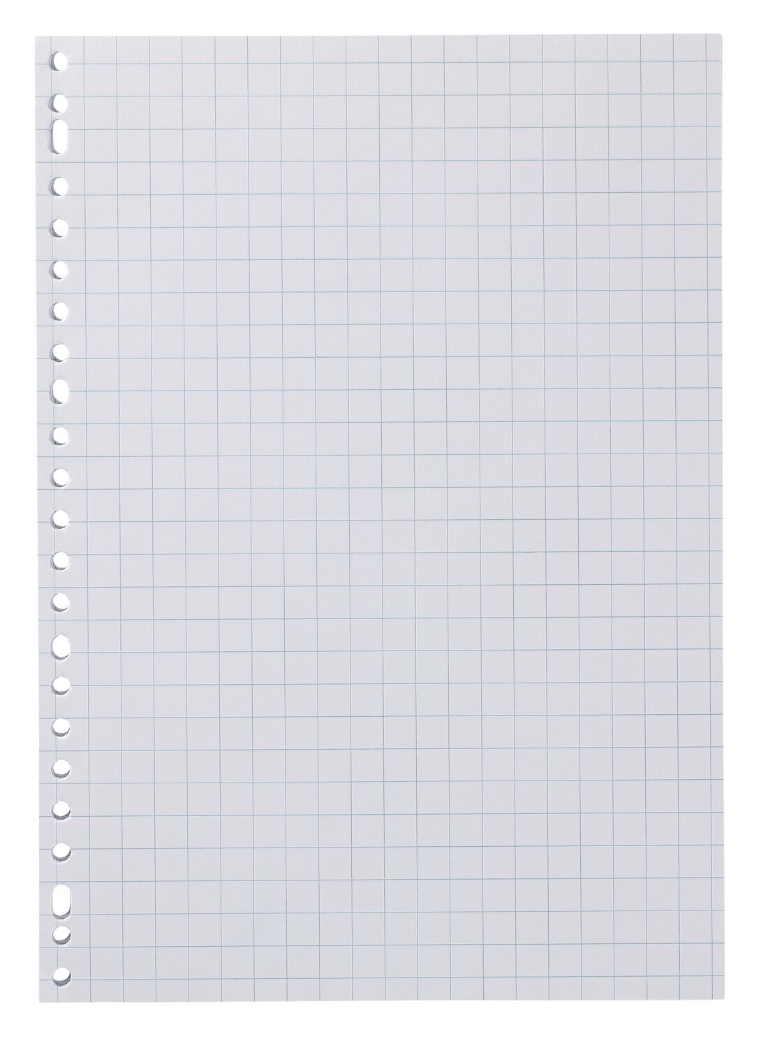 HEMA Ringbandpapier geruit 10x10mm - 100 stuks | HEMA
