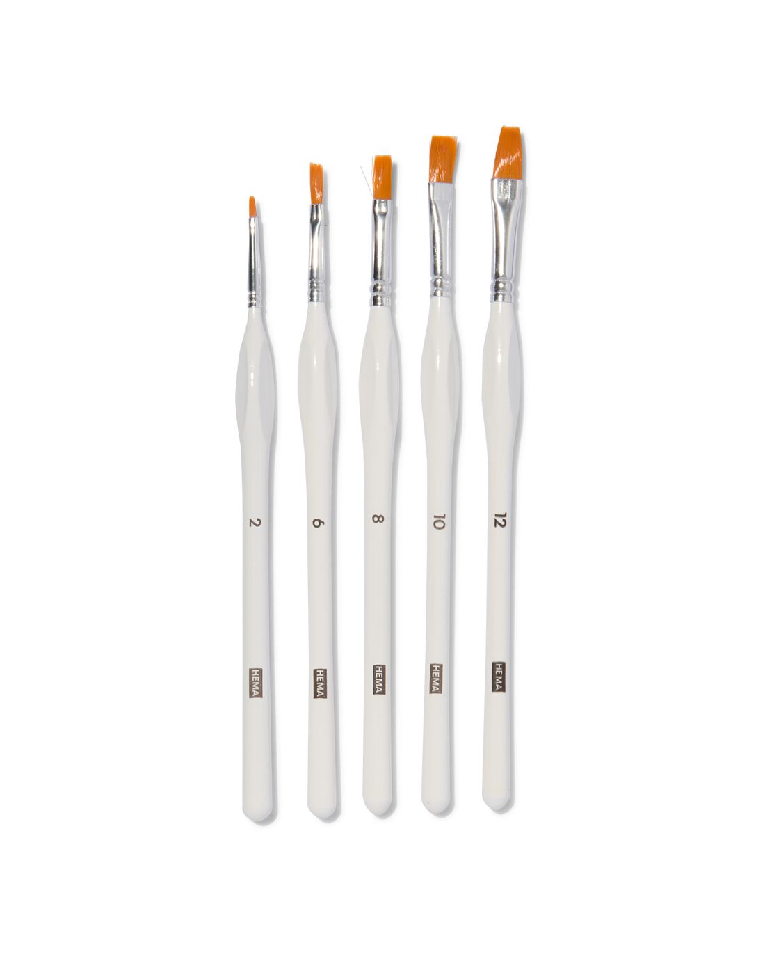 HEMA Schilderpenselen met platte punt - 5 stuks | HEMA