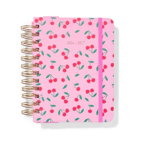 HEMA Schoolagenda 2026-2027 5.4x18.6cm kersen | HEMA