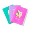 HEMA Schriften A6 gelinieerd ijsjes - 3 stuks | HEMA