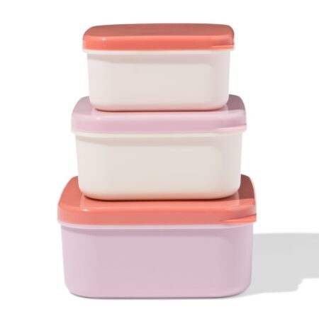 HEMA Snackboxen terra - 3 stuks (roze) | HEMA