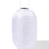 HEMA Solar lampion ovaal 28x40cm wit | HEMA
