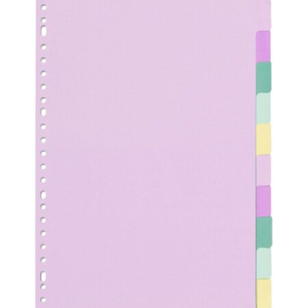 HEMA Tabbladen karton - 10 stuks | HEMA