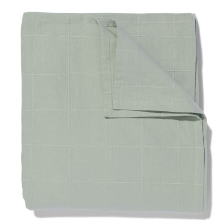 HEMA Tafelkleed met ruiten 140x240 katoen groen (groen) | HEMA