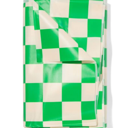 HEMA Tafelzeil 140x240cm ruiten | HEMA