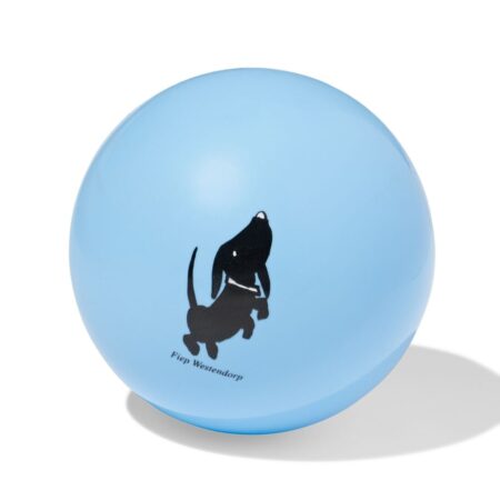 HEMA Takkie bal 13cm blauw | HEMA
