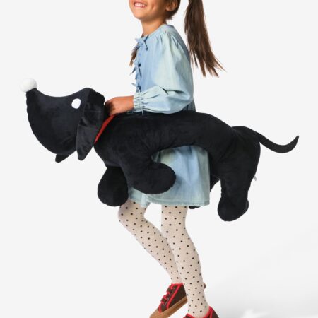 HEMA Takkie carnaval kinderkostuum | HEMA
