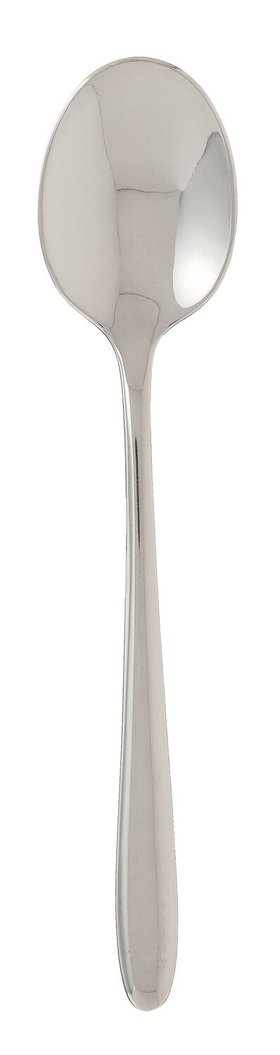 HEMA Theelepel 15cm Bari (zilver) | HEMA