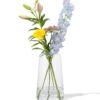 HEMA Vaas 30cm glas (transparant) | HEMA