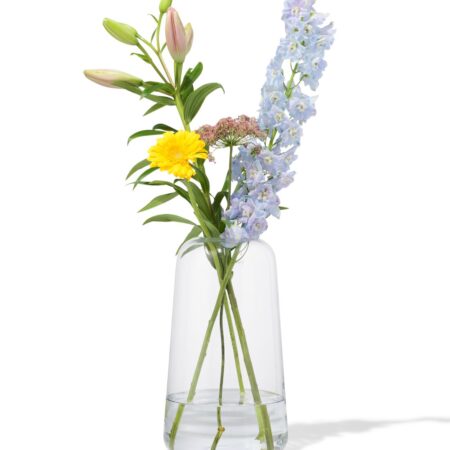 HEMA Vaas 30cm glas (transparant) | HEMA