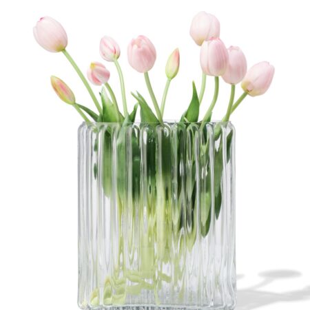 HEMA Vaas ⌀20x28cm glas ovaal transparant (transparant) | HEMA