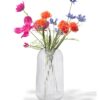HEMA Vaas ⌀6.9x27cm glas transparant (transparant) | HEMA