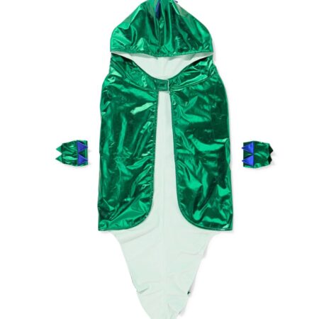 HEMA Verkleedset dino voor kinderen | HEMA